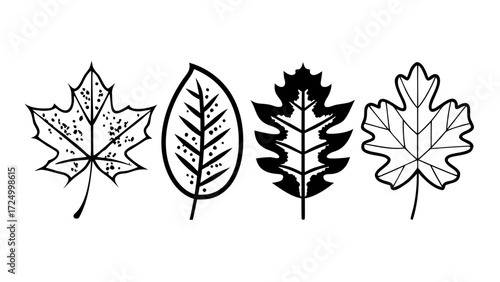 Vector illustrations of diverse deciduous tree leaves in a monochrome outline style, perfect for seasonal designs, natural elements, or educational graphics
