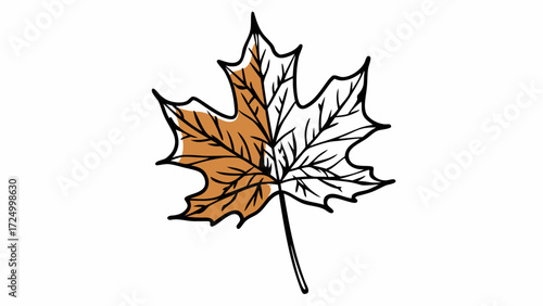 A Canadian Maple Leaf Illustration with a Half-Colored Design, Symbolizing Autumn and Nature