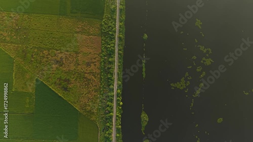 Aerial top down shot showing vibrant monsoon fields and adjoining water body with visible power cable reflections, taken during sunrise on the outskirts of Delhi, India.