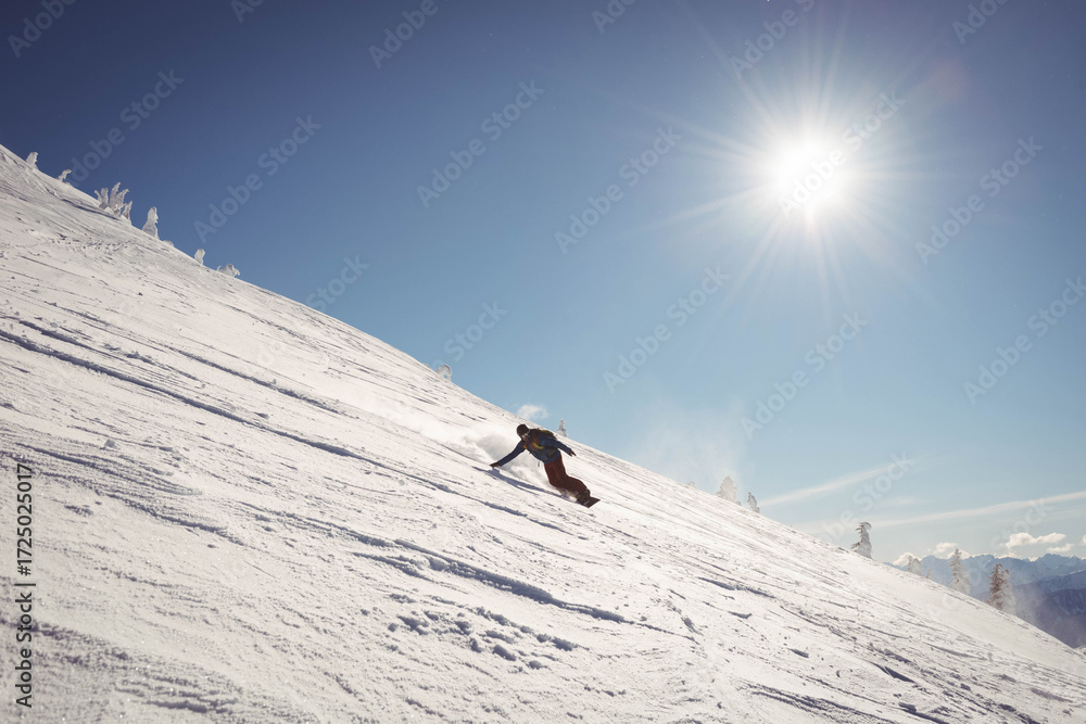 Fototapeta premium Snowboarder carving snowy mountainside under bright sun with shallow tracks near conifer tops