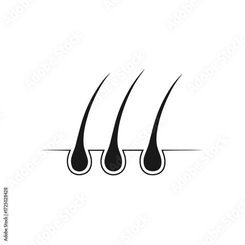 : Hair follicle diagram in skin cross-section vector illustration showing three hair follicles embedded in the scalp. Useful for educational materials, dermatology, and hair care graphics.