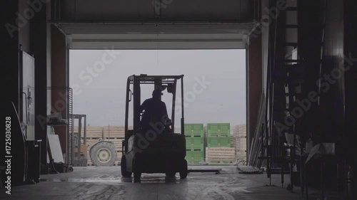 Forklift moves large wooden crates filled with fresh apples at an agricultural cold storage facility. Massive stacks of crates indicate fruit harvest logistics and post-harvest handling operations.