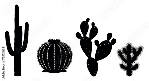 Collection of diverse desert cactus silhouettes in black and white representing various species and shapes isolated on transparent background