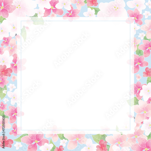 Apple blossom frame/background(vector)
