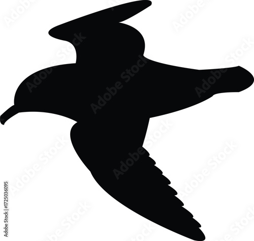 Flying Antarctic petrel Bird Silhouette Design And Vector Illustration. 
