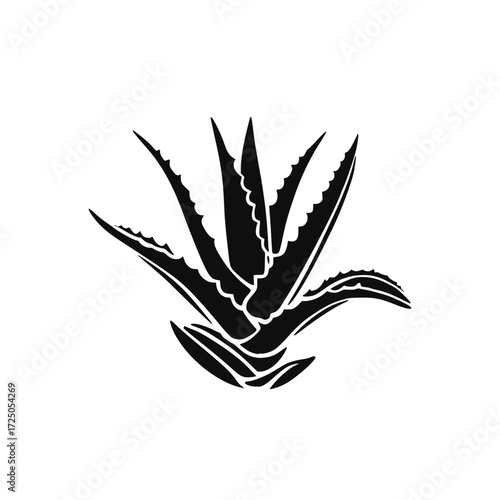 Aloe Vera icon