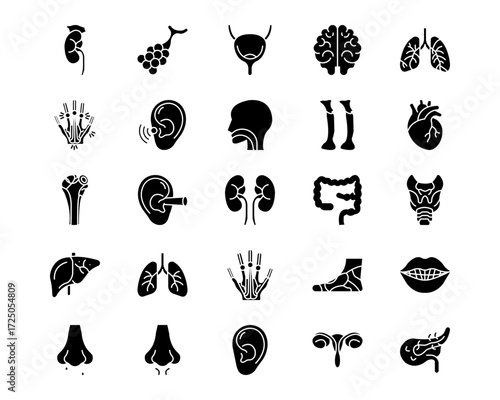 Human Anatomy Line Vector Icons