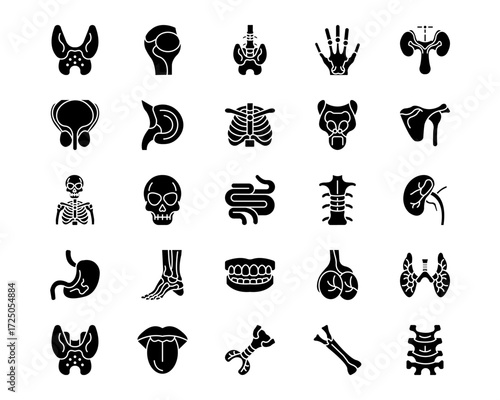 Human Anatomy Line Vector Icons