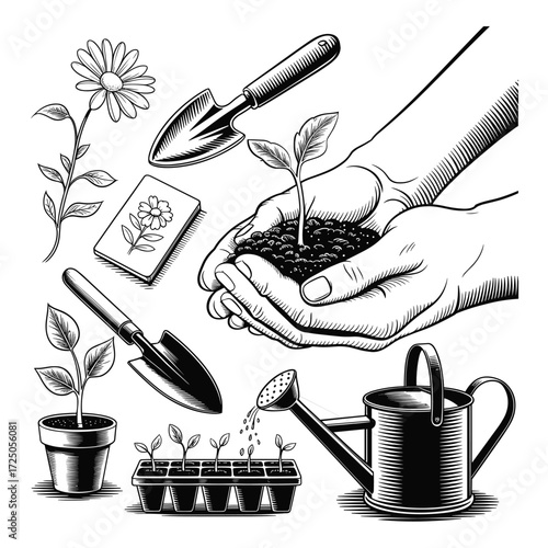 Gardening Tools And Seedlings Black And White Engraving Style planting hands