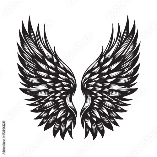 Angel Wings Vector | Decorative Wing Illustration Set”