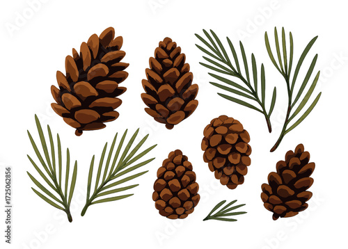 Collection of pine cones and pine needles on white background