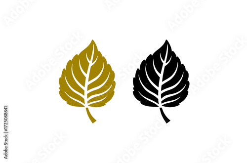 Lime tree leaf vector illustration