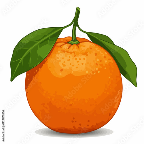 orange fruit isolated on white