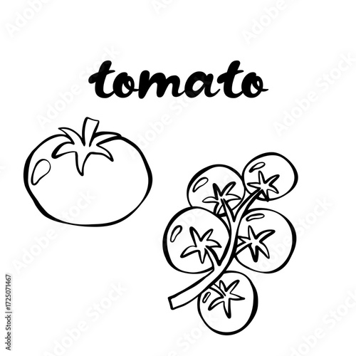 et of fresh uncooked tomatos. Good for textile, surface design, wallpapers, kitchen vibes, vegetarian posters, menu and recipes