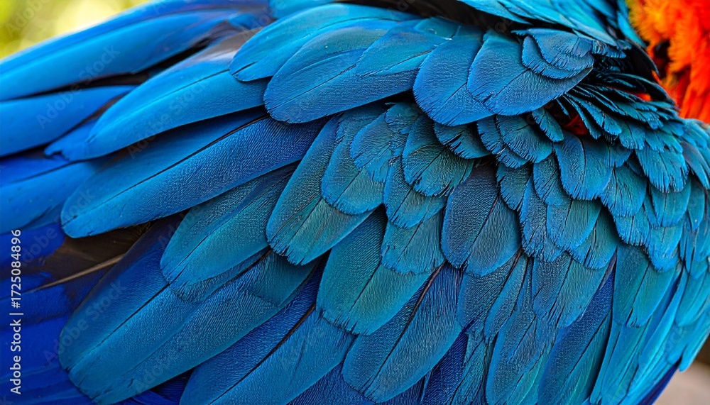 Obraz premium Closeup of an exotic Scarlet Macaw with radiant red plumage and striking blue feathers, showcasing natural beauty, vibrant tropical colors, wildlife elegance, intricate details, and unique parrot char