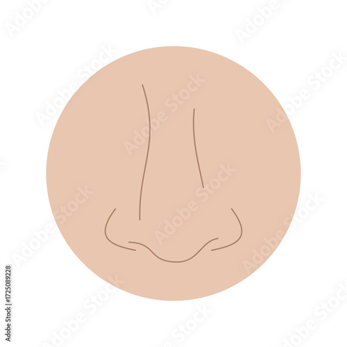 human nose. sense of smell. body parts. health theme. vector illustration