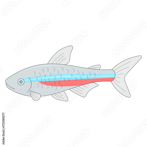 Neon tetra fish. Ornamental fish. Freshwater fish. Animal theme. Vector illustration