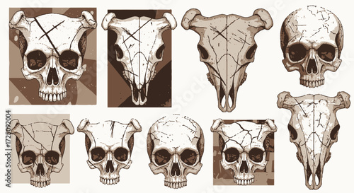 Artistic Representation of Animal Skulls in Varied Styles, Graphic Design, Creative Environment, Unique Perspective