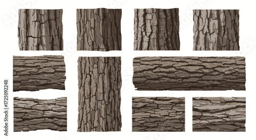 Close-Up Textures of Tree Bark, Nature Study, Forest, Photography, Natural Environment, Macro View, Organic Patterns