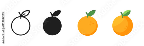 Orange fruit evolution: outline, silhouette, flat, and gradient design
