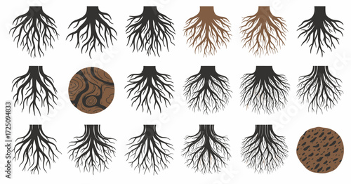 Root Patterns, Nature Elements, Graphic Design, Abstract Art, Artistic Environment, Conceptual Viewpoint