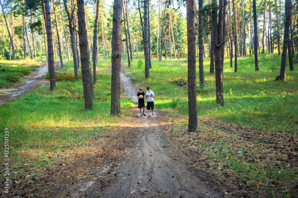 Fototapeta premium Two young men on a sunlit dirt path in a pine forest, engrossed in smartphones. Blending nature and technology, ideal for digital life, outdoor recreation, or navigation themes.