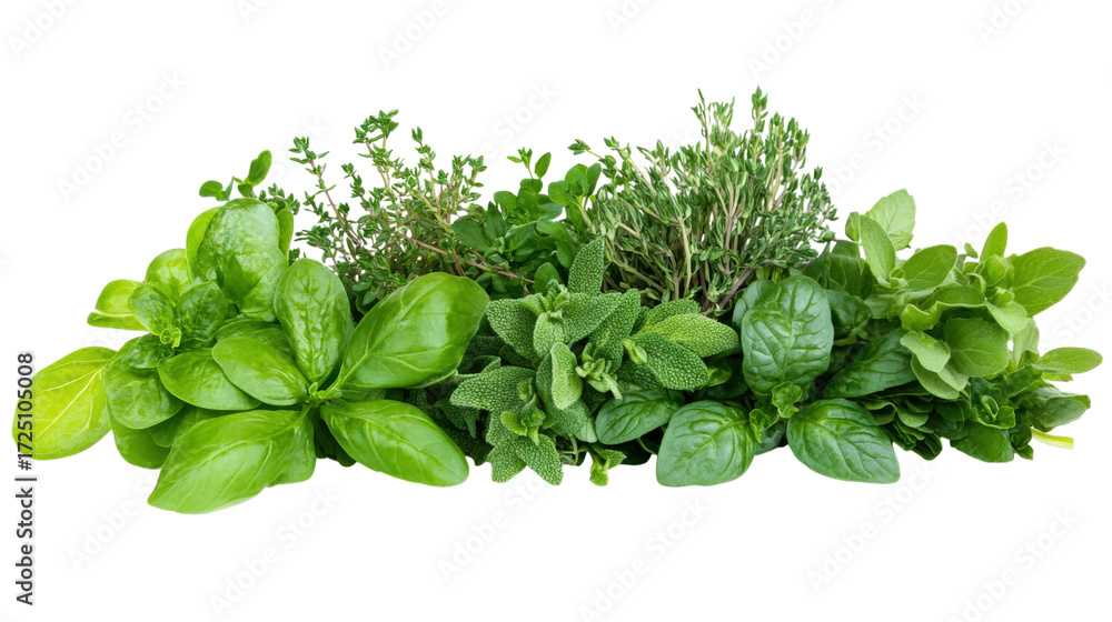 Obraz premium Assortment of Fresh Green Herbs isolated on a transparent background