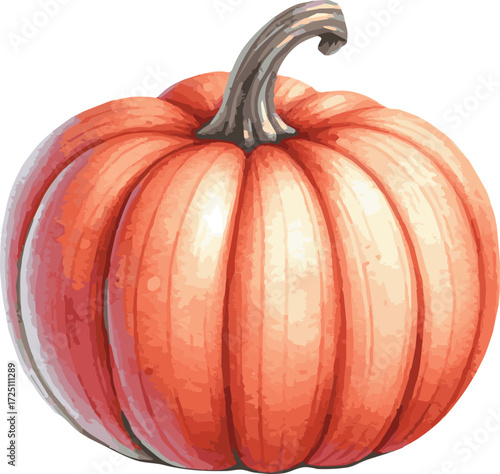 Vector watercolor painted illustration of a pumpkin