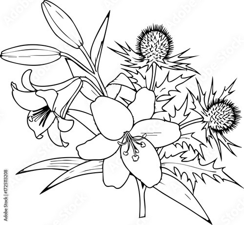 Elegant linework bouquet featuring delicate lilies and striking thistles, perfect for sophisticated floral designs and artistic projects.