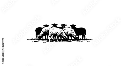 Illustrative Monochrome Imagery of Grazing Sheep Pastoral Scene Depicting Livestock Farming