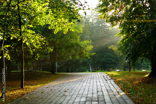 Morning sunlight filters through trees in a calm park setting during early autumn with a paved path inviting visitors