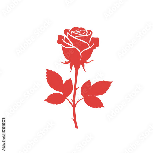  Red Rose vector illustration