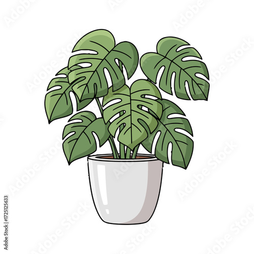 Potted monstera deliciosa plant with large, fenestrated green leaves in simple pot, isolated on transparent, perfect for home decor or botanical
