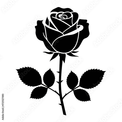 Rose vector illustration