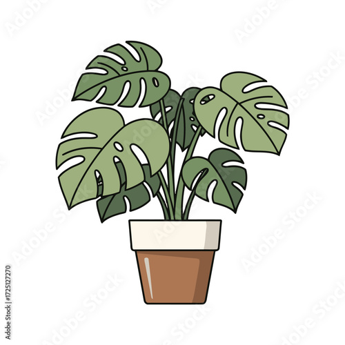 Potted monstera deliciosa plant with large green leaves and fenestrations, isolated on transparent, representing indoor greenery and home decor