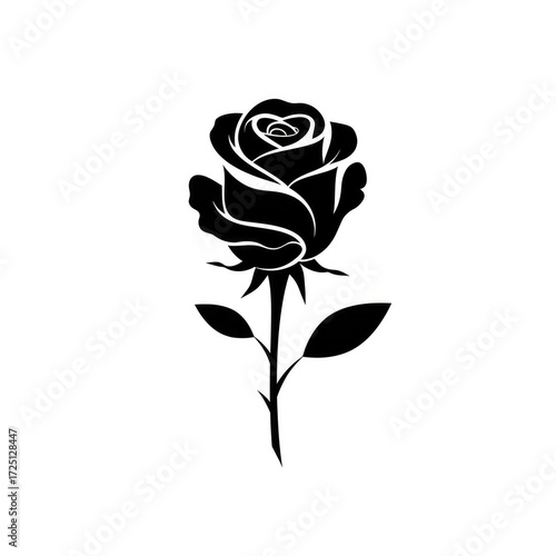 Rose vector illustration