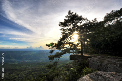 Lom Sak Cliff (Pha Lom Sak) with sunset on Phu Kradueng mountain national park, Loei province, Thailand