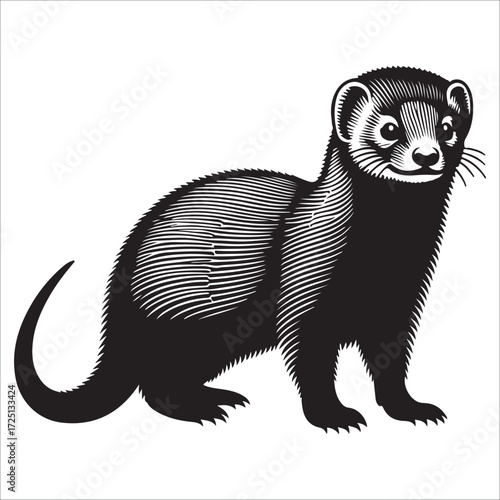 mongoose silhouette vector on white background Charming, Black and White Vector Illustration, Friendly Mascot Design.