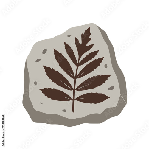 Fossilized leaf imprint in sedimentary rock; muted browns and grays