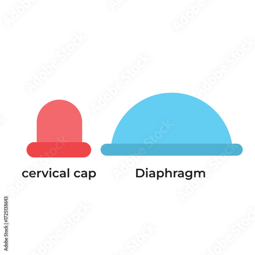 Cervical cap and diaphragm, barrier contraceptives for women in reproductive health, flat art design style.

