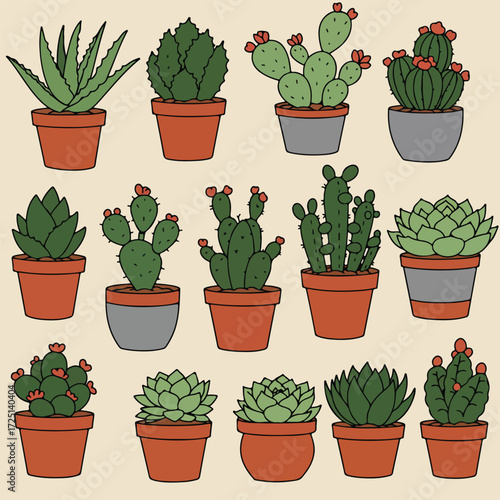 Fifteen potted succulents and cacti in a repeating pattern on a light beige background