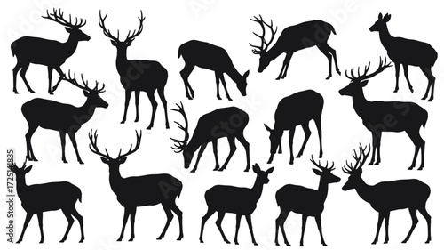 Collection of various deer and stag silhouettes in different poses and antler styles against a white background showcasing nature s elegance silhouette