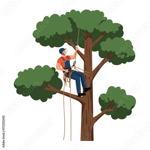 Tree climber, helmeted, uses rope in large tree with dark trunk and green foliage