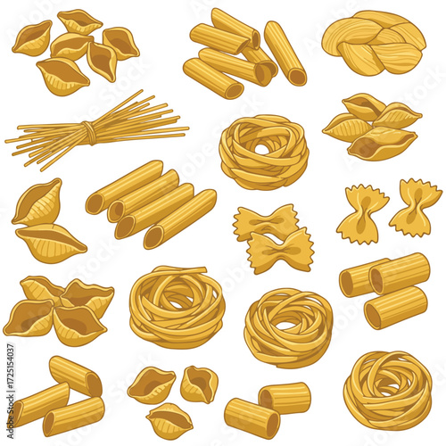 Assortment of pasta shapes shells, rigatoni, spaghetti, farfalle, and nests