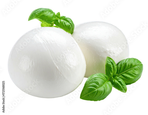 Two round balls of white mozzarella cheese, topped with fresh basil leaves
