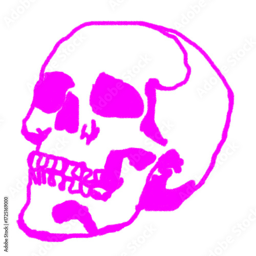 Hand drawn skull png doodle sticker, illustration, transparent background