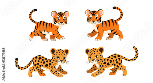 Cute baby tigers and leopards walking on white background.