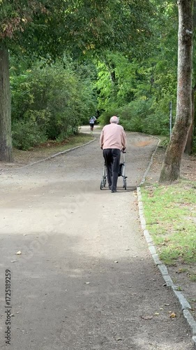 Old man walks in the park with a walker