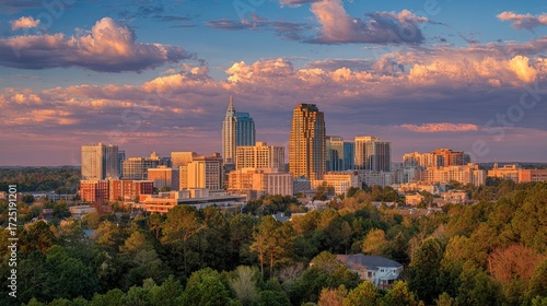 Cityscape of Raleigh Downtown North Carolina