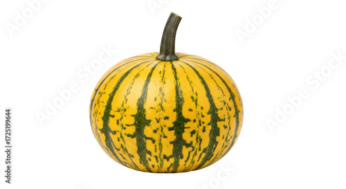 Konstfotografi Isolated yellow and green ornamental pumpkin or gourd for decoration, autumn har